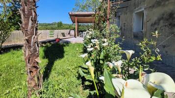 Detalle del exterior