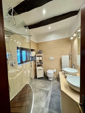 Hair dryer, bidet, towels, soap