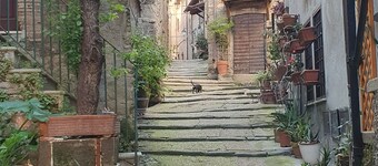 Charming apartment in medieval Sacrofano with WiFi. Rome is just few steps away!