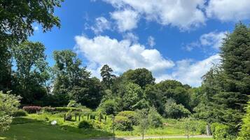 Casa de campo | Vista da propriedade