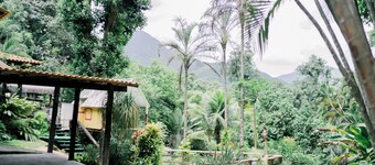 House 11/ family parties/ swimming pool/ waterfall/ fresh air/ home office/ pets/ wi fi