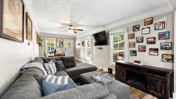 TV, fireplace, books