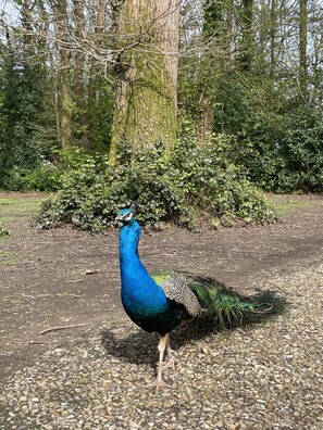 Casa de campo | Banheiro