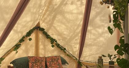 Cottage for 6 Guests in Woolton Hill