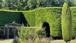 A well-maintained garden with a metal gazebo, neatly trimmed hedges, and a tall conical tree.
