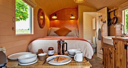 Shepherds Hut in Llyn With Snowdonia Views
