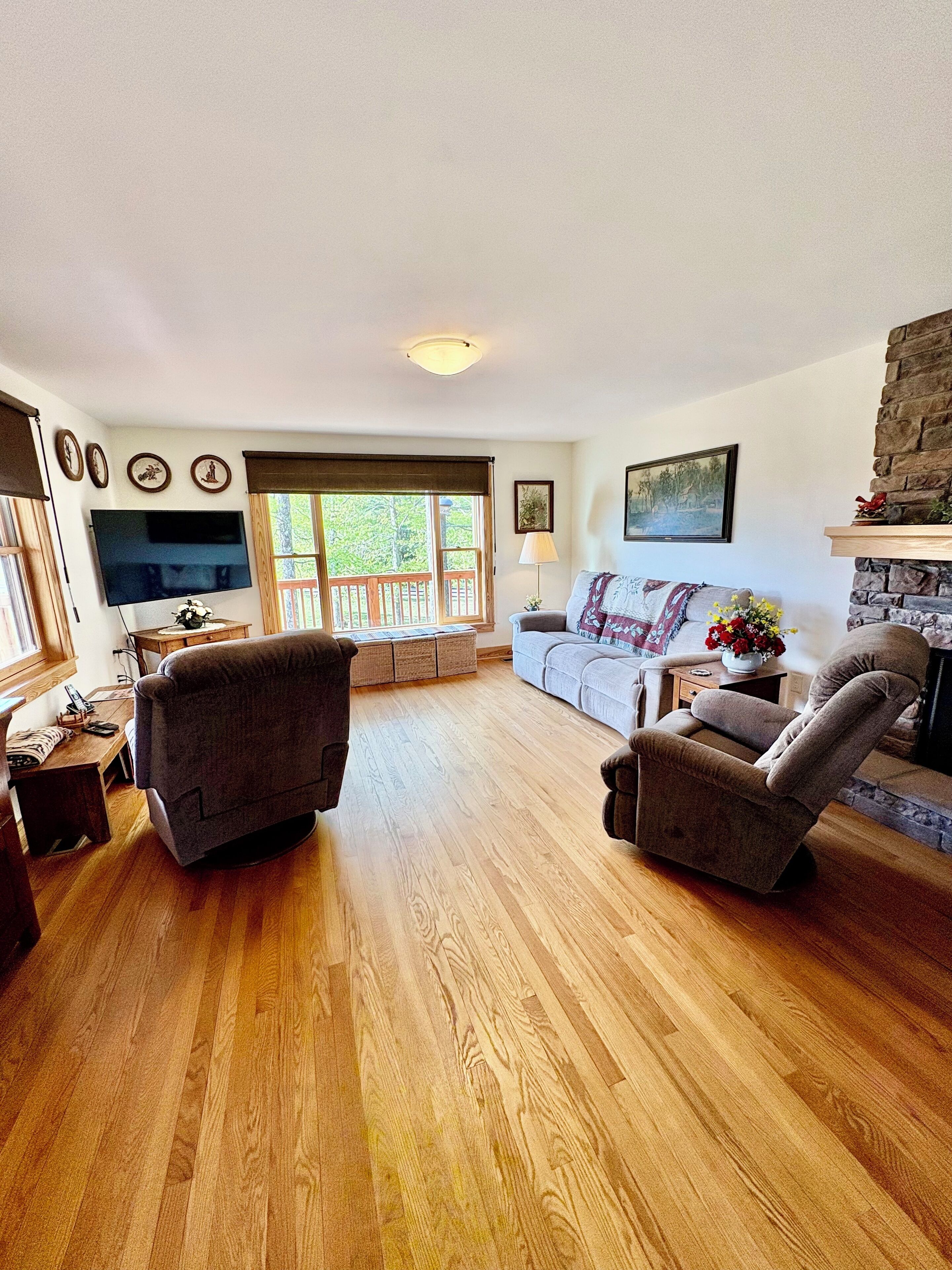 智能電視、書籍