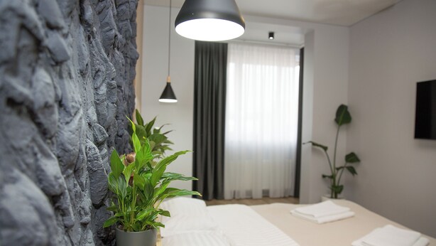 Ein modernes Hotelzimmer mit einem Bett, einer Zimmerpflanze, einem an der Wand montierten Fernseher und einem Fenster mit Vorhängen.