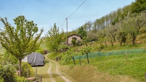 A rural landscape with a dirt path leading to a house surrounded by trees and a green field. - Awesome home in Barga (Barga)