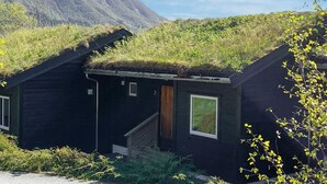 A small cabin with a grass roof, a wooden door, and a window.