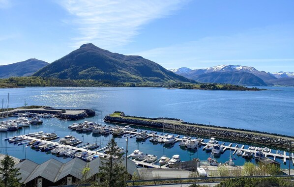 Marina
