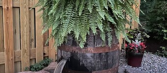 The Conestoga Covered Wagon Getaway