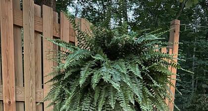 The Conestoga Covered Wagon Getaway