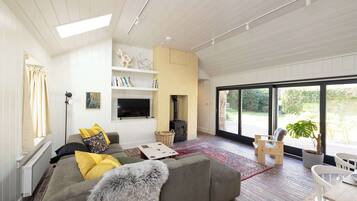 TV, fireplace, offices