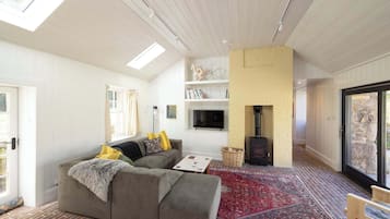 TV, fireplace, offices