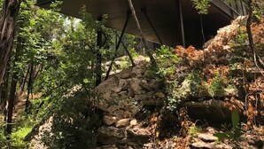 Una casa del árbol moderna con fachada de vidrio, suspendida por cables, rodeada de un bosque denso.