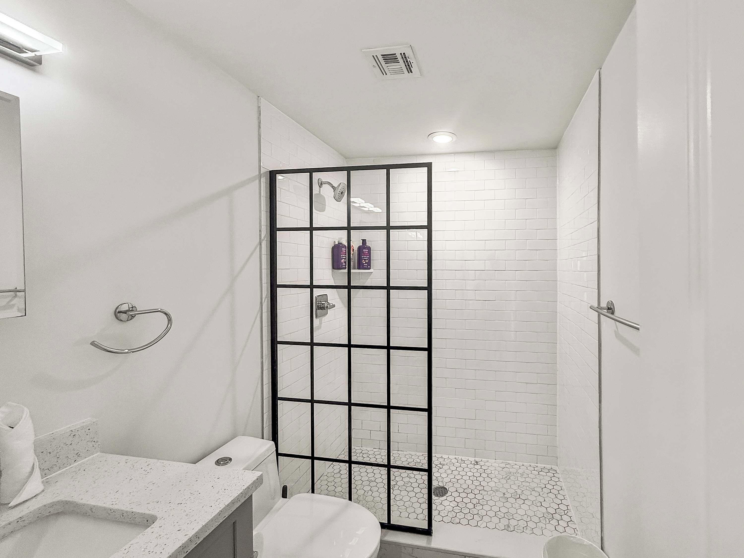 Shower, hair dryer, shampoo