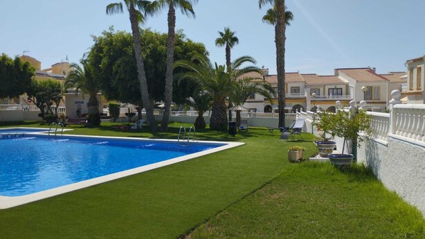 A swimming pool with a clear blue water, surrounded by well-maintained grass and palm trees. - Bungalow with pool, private patio of 17m2 and terrace (Playa del Carabassi) (Gran Alacant)