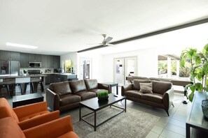 TV, fireplace, video games, DVD player