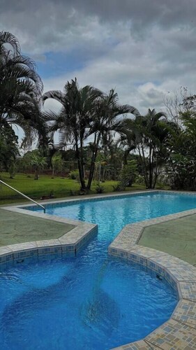 Cerca de la Fortuna - Virdina