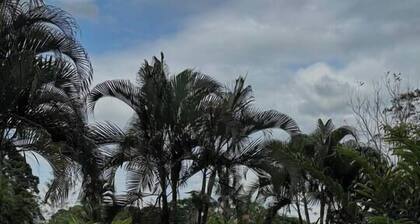 Cerca de la Fortuna - Virdina