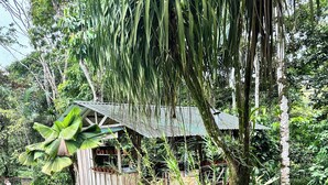 A rustic wooden structure with a thatched roof, surrounded by lush greenery and a well-maintained lawn.