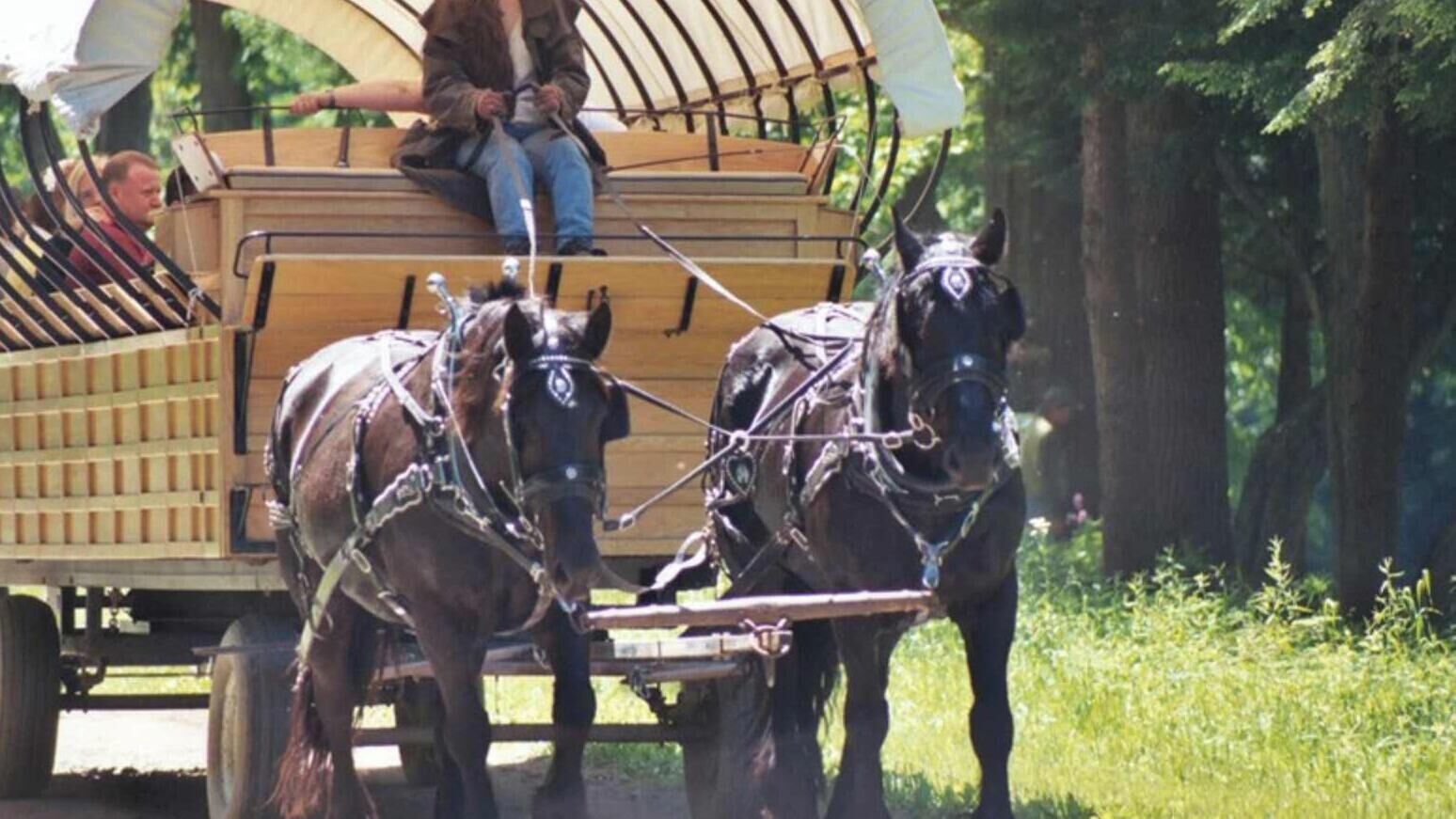 En hestevogn med kalechen oppe, to heste, kuske og passagerer.