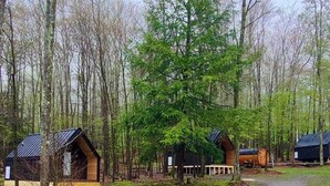 Une zone boisée avec plusieurs cabanes et un sentier de terre.