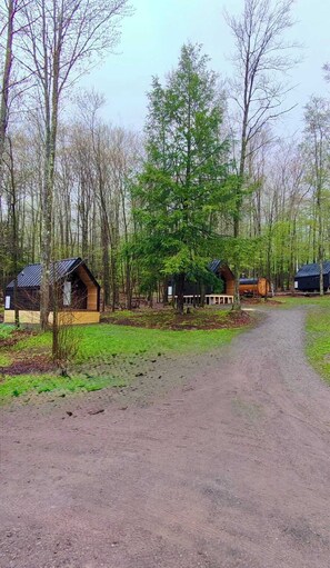 Property grounds - A-frame Principal (Wellsboro)