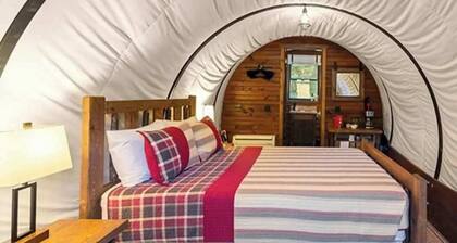 Conestoga Wagon Summa