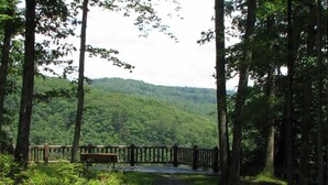 A forested area with a wooden fence and a bench. - Pop up Camper Site Water & Electric Up to 32FT (Wellsboro)