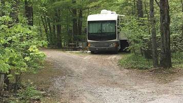 A gravel path leading to a white RV parked in a wooded area.