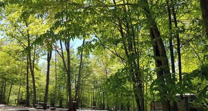 RV Site - Full Hookup 30 Amp - Up to 33ft