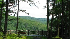 A forested area with a wooden fence and a bench. - Full Hook Up Back-in 30 Amp Up to 26FT (Wellsboro)