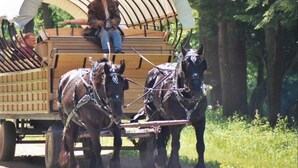 A covered wagon with two horses pulling it, a person driving, and another person sitting in the back. - Tent and Tear Drop Electric site 10 (Wellsboro)