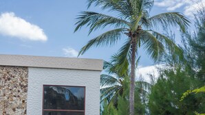 A horse grazing in a grassy area in front of a modern building with a stone facade and large windows. - Pura Vida Hotel (Itarema)
