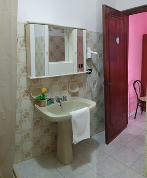 Basic Apartment, City View | Bathroom | Shower, free toiletries, hair dryer, bidet
