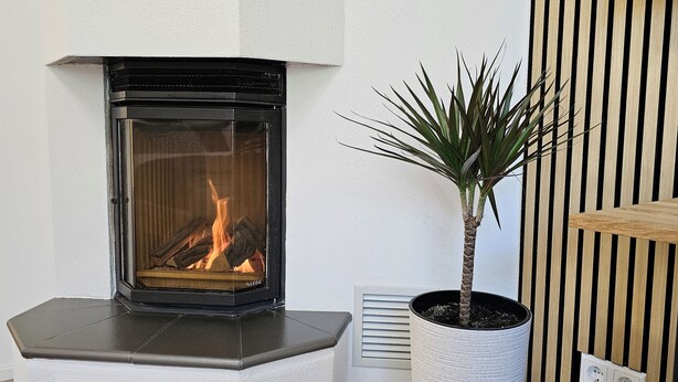 A fireplace with a visible fire, a potted plant, and a wooden slat wall. - ELODIA LUXURY Apartment, WiFi, terrace, kitchen, towels (Heidenheim an der Brenz)