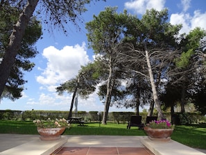 A garden with two large planters, a picnic table, and a bench under tall trees. - Sole del Mediterraneo (Otranto)