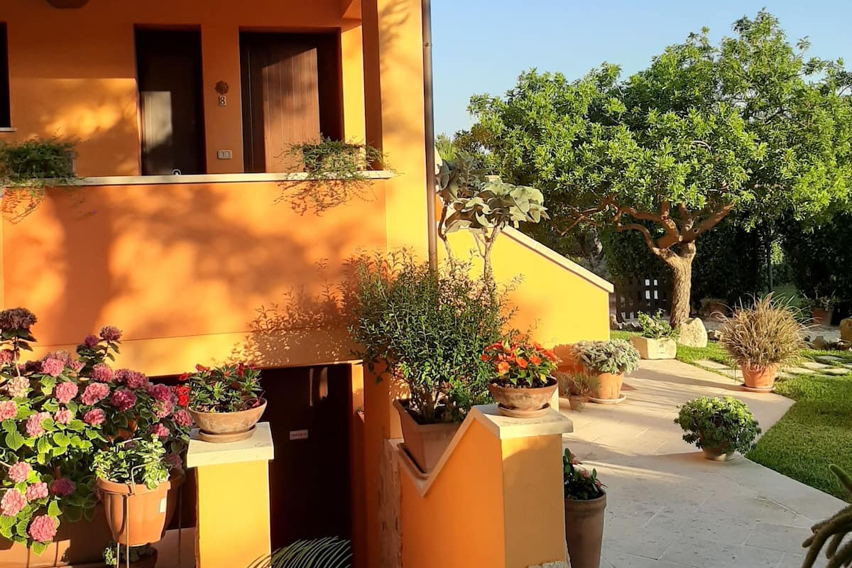 Standard Room, Park View | Terrace/patio