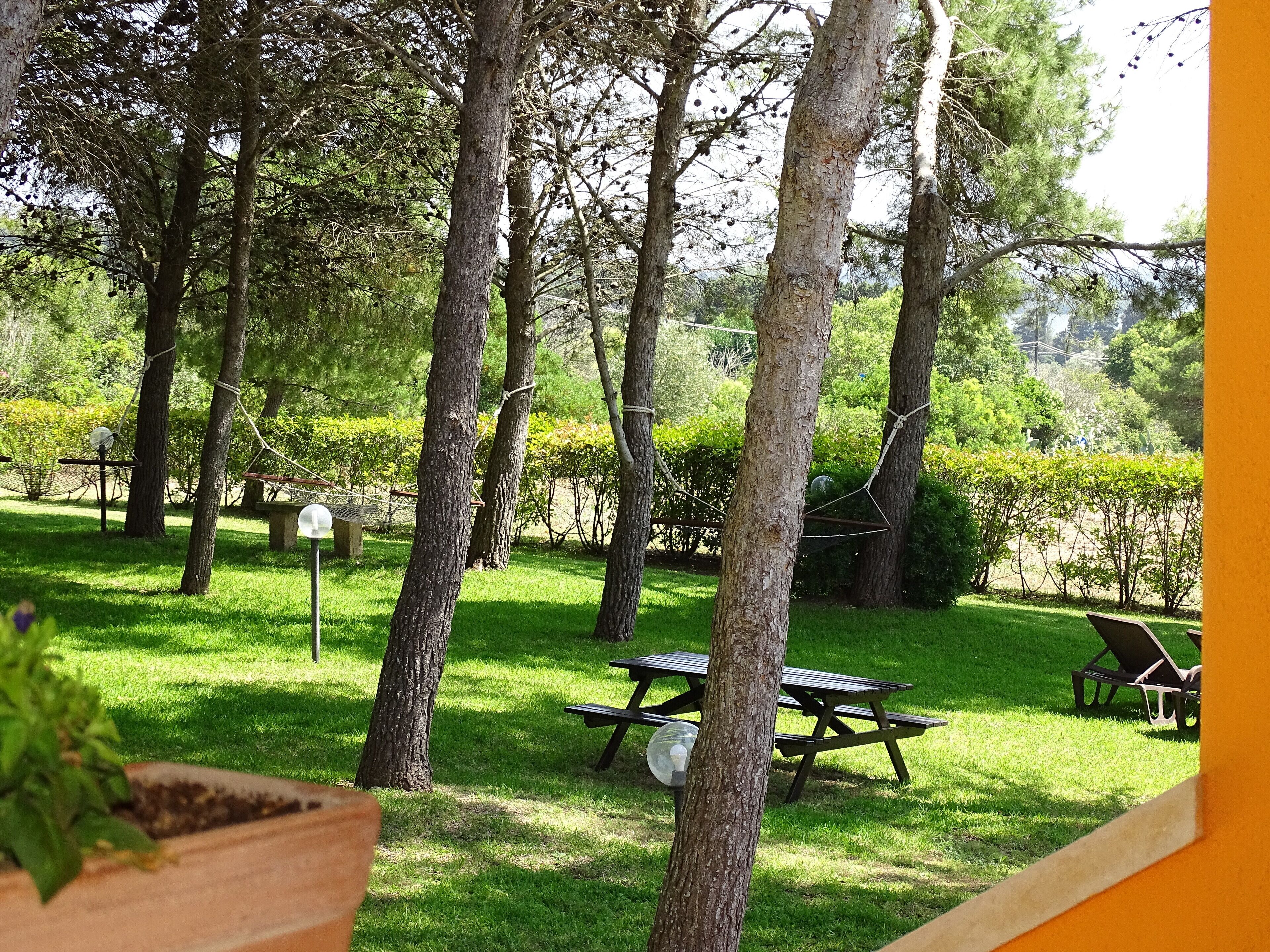 Habitación superior, vistas al parque | Edredones de plumas, minibar, escritorio