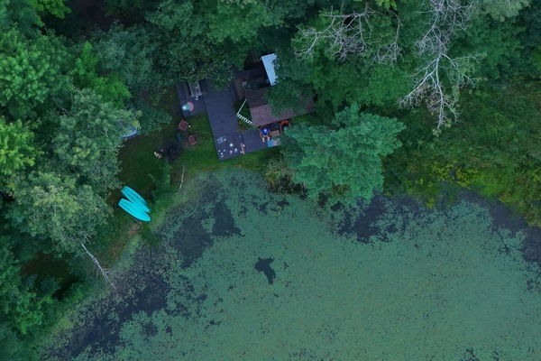 Kayaks for your private use on your private pond. Did I mention private!