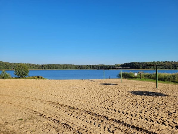 A sandy beach with a clear blue sky, a lake, and a forest in the background.