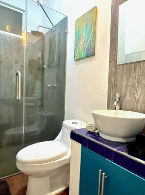 Douche, séchoir à cheveux, serviettes fournies, papier de toilette