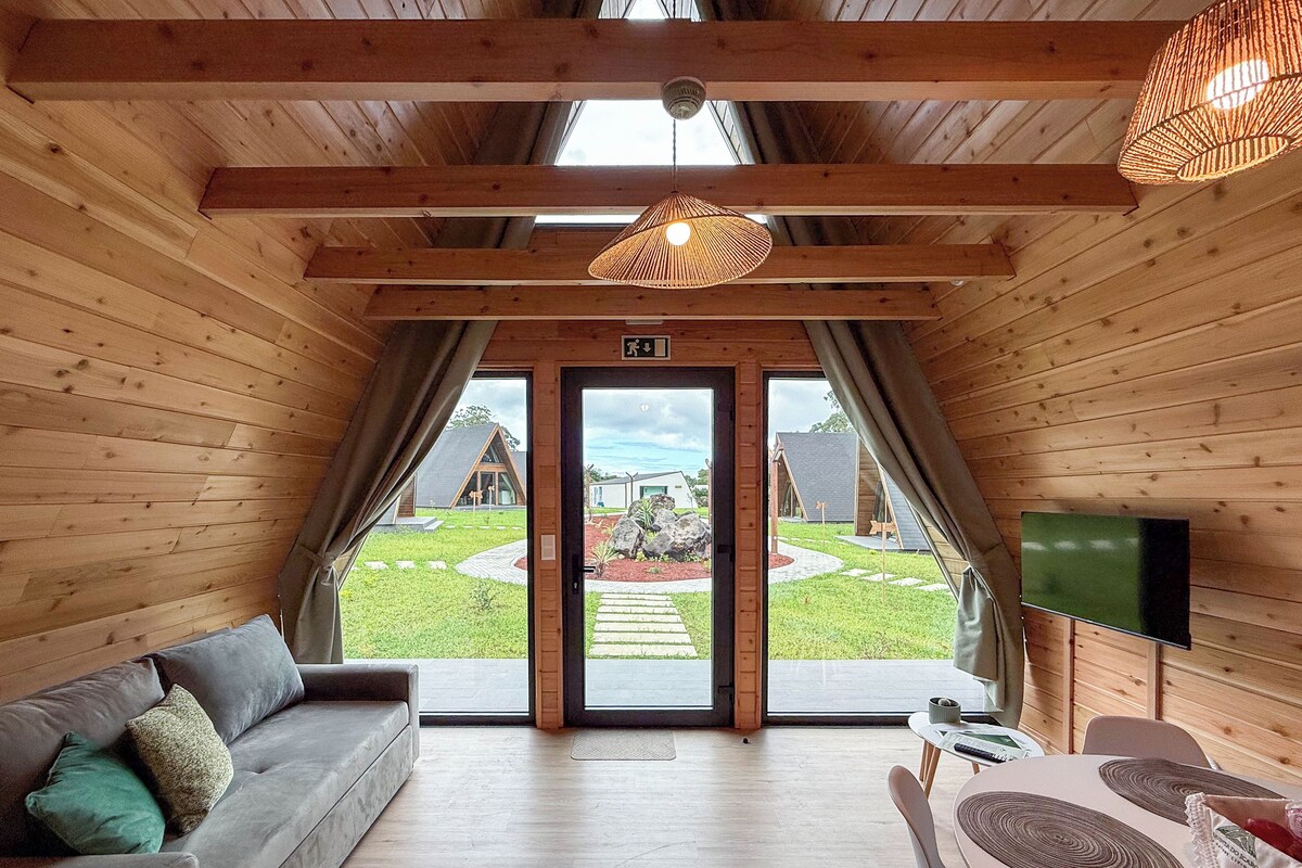 A cozy room with wooden walls, a sofa with cushions, a television, and a view of a garden through a glass door.