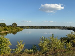 A calm lake with a clear sky, surrounded by dense greenery and trees.