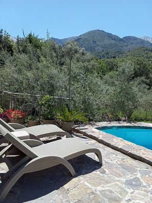 A pool area with lounge chairs, surrounded by stone flooring and potted plants.