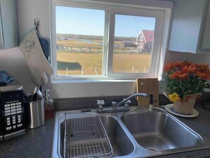 A kitchen with a double sink, a window with a view of a field and a house, and a vase with flowers on the counter.