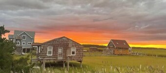 Dock side studio with water views ! Quiet and pet friendly.