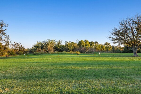 A grassy field with trees and a clear sky.